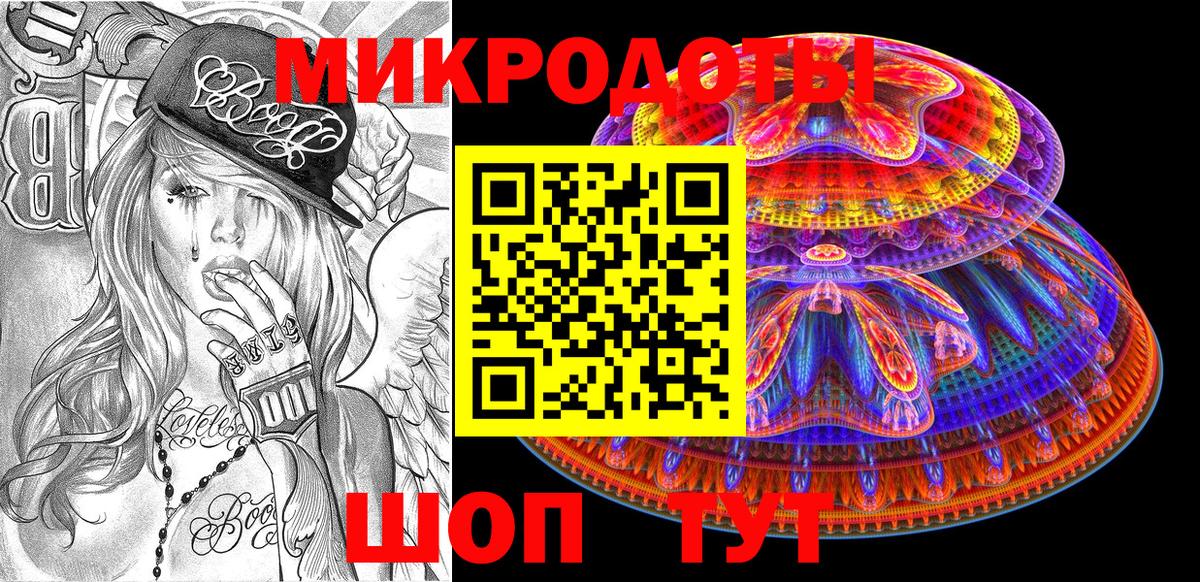 Галлюциногенные грибы Psilocybe Искитим